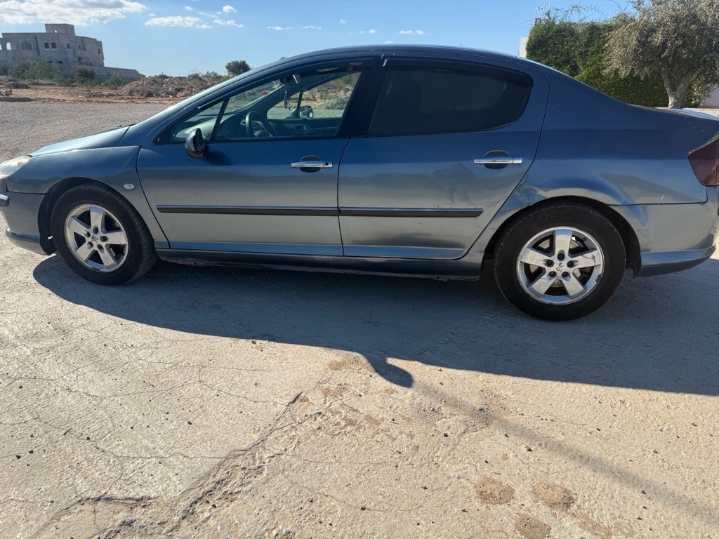 Peugeot 407 navtec