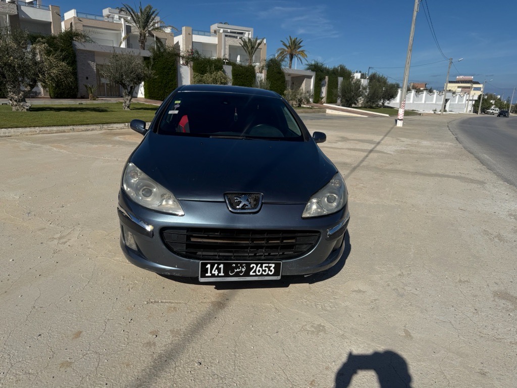 Peugeot 407 navtec