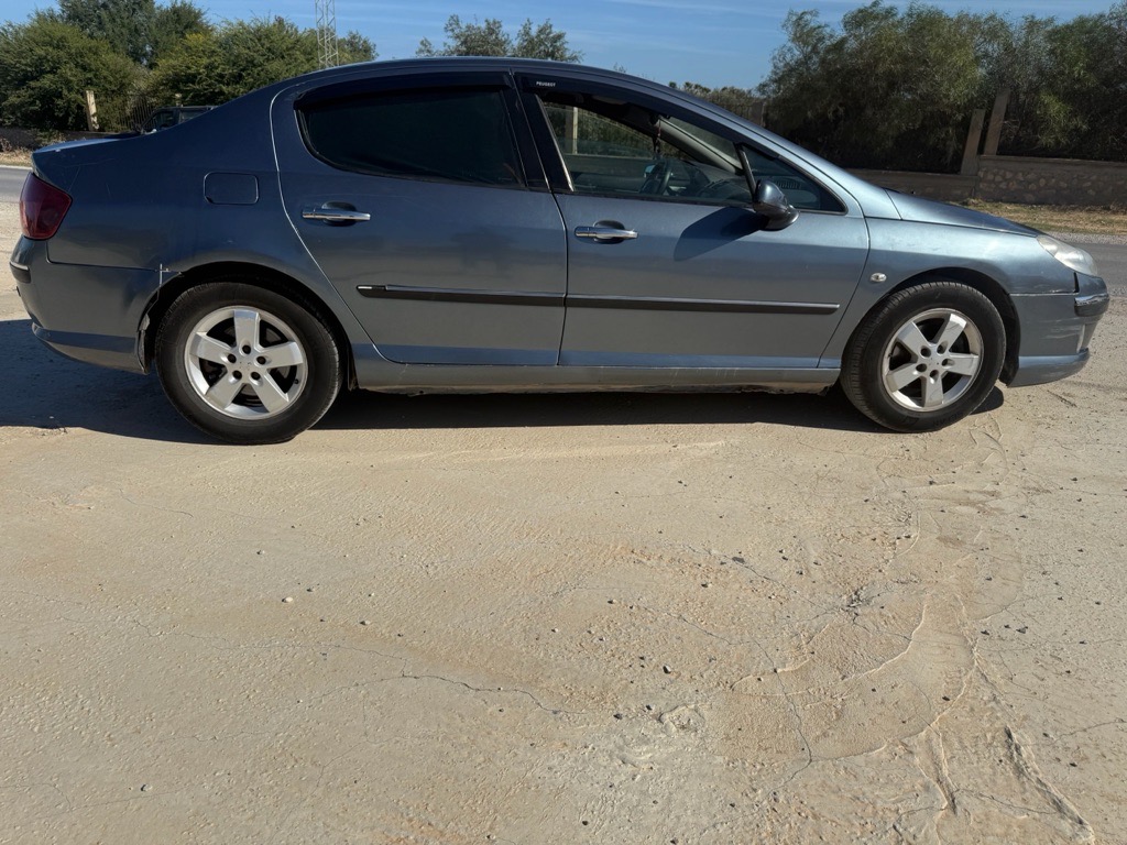 Peugeot 407 navtec