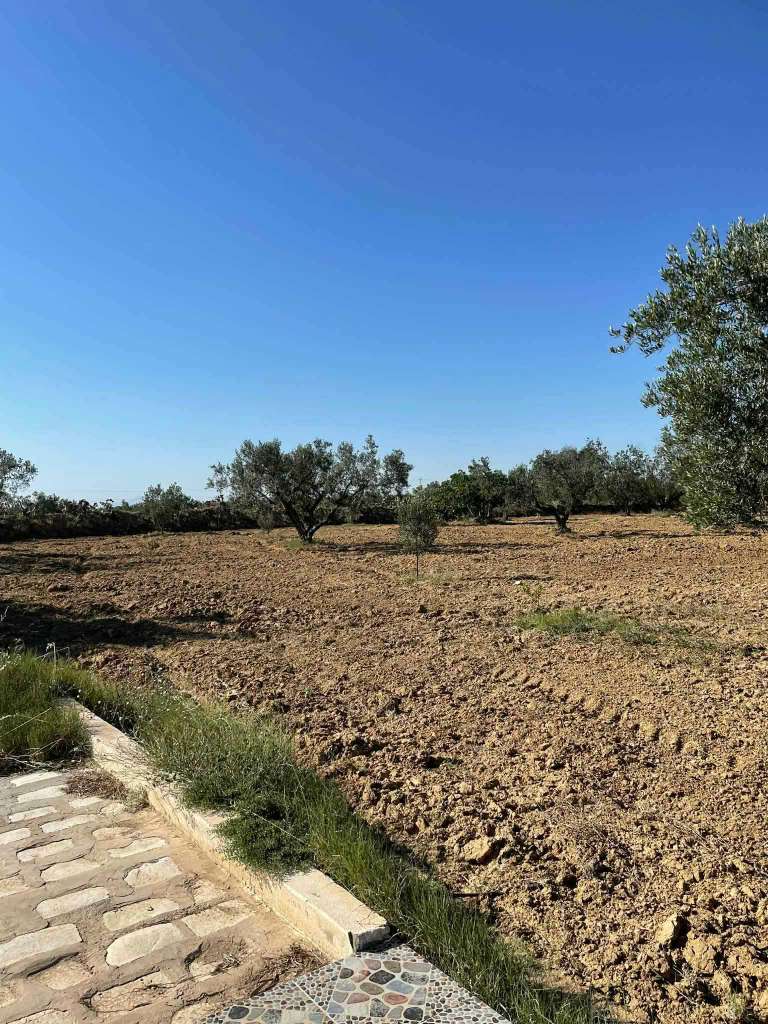 أرض للبيع - الحنية القلعى الكبرى ✨
فرصة ذهبية تجمع بين السكن والزراعة!