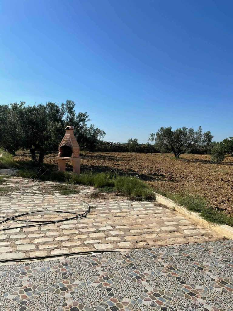 أرض للبيع - الحنية القلعى الكبرى ✨
فرصة ذهبية تجمع بين السكن والزراعة!