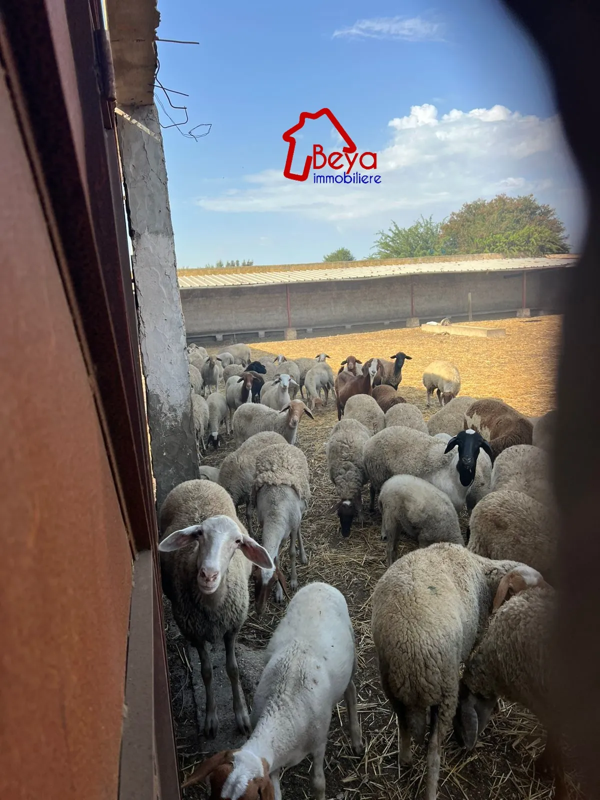 4 hectares à vendre 