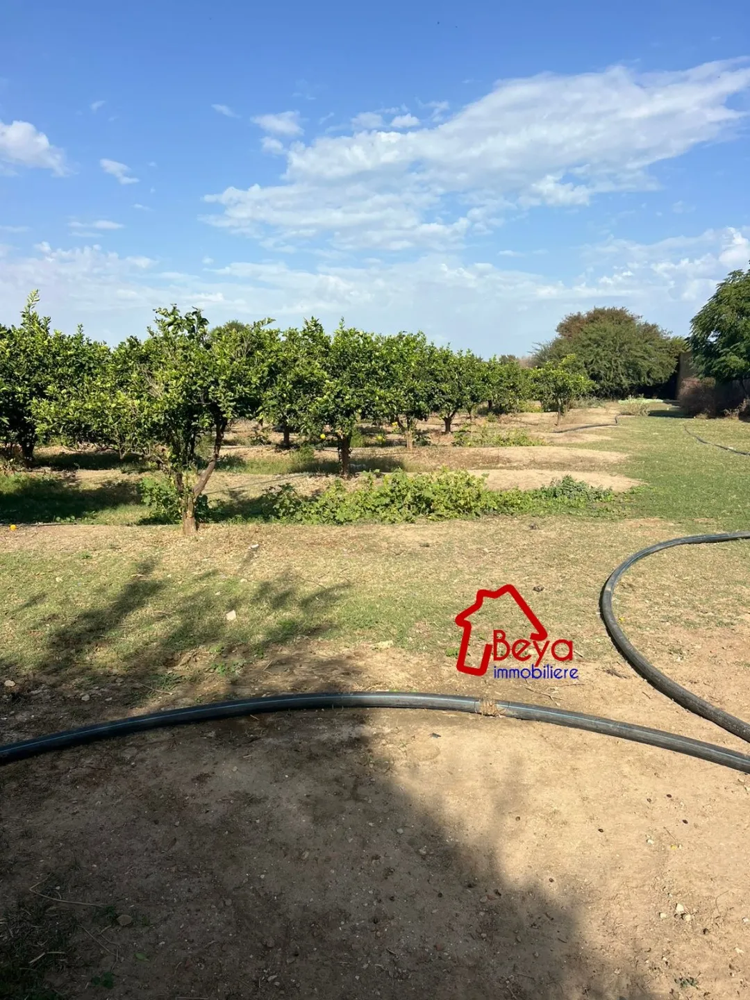 4 hectares à vendre 