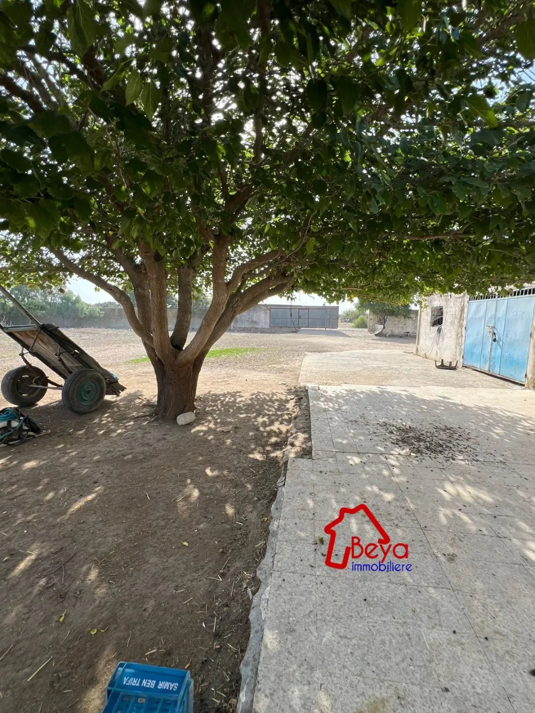 4 hectares à vendre 