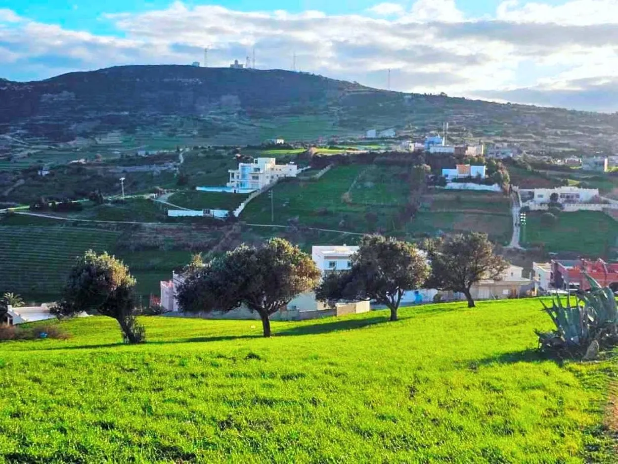 🌳 Terrain 800 m2 a Rafraf 🖼