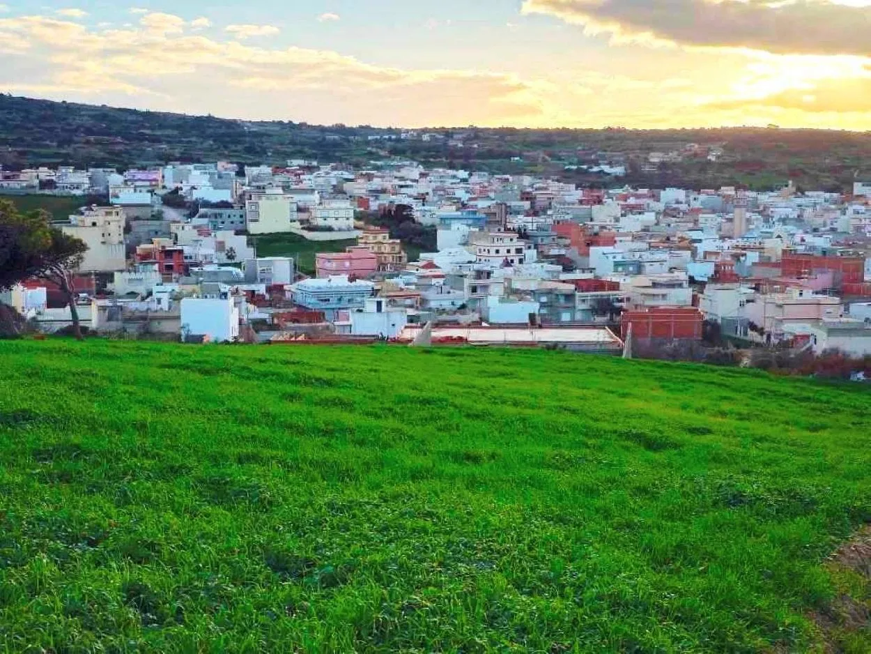 🌳 Terrain 800 m2 a Rafraf 🖼