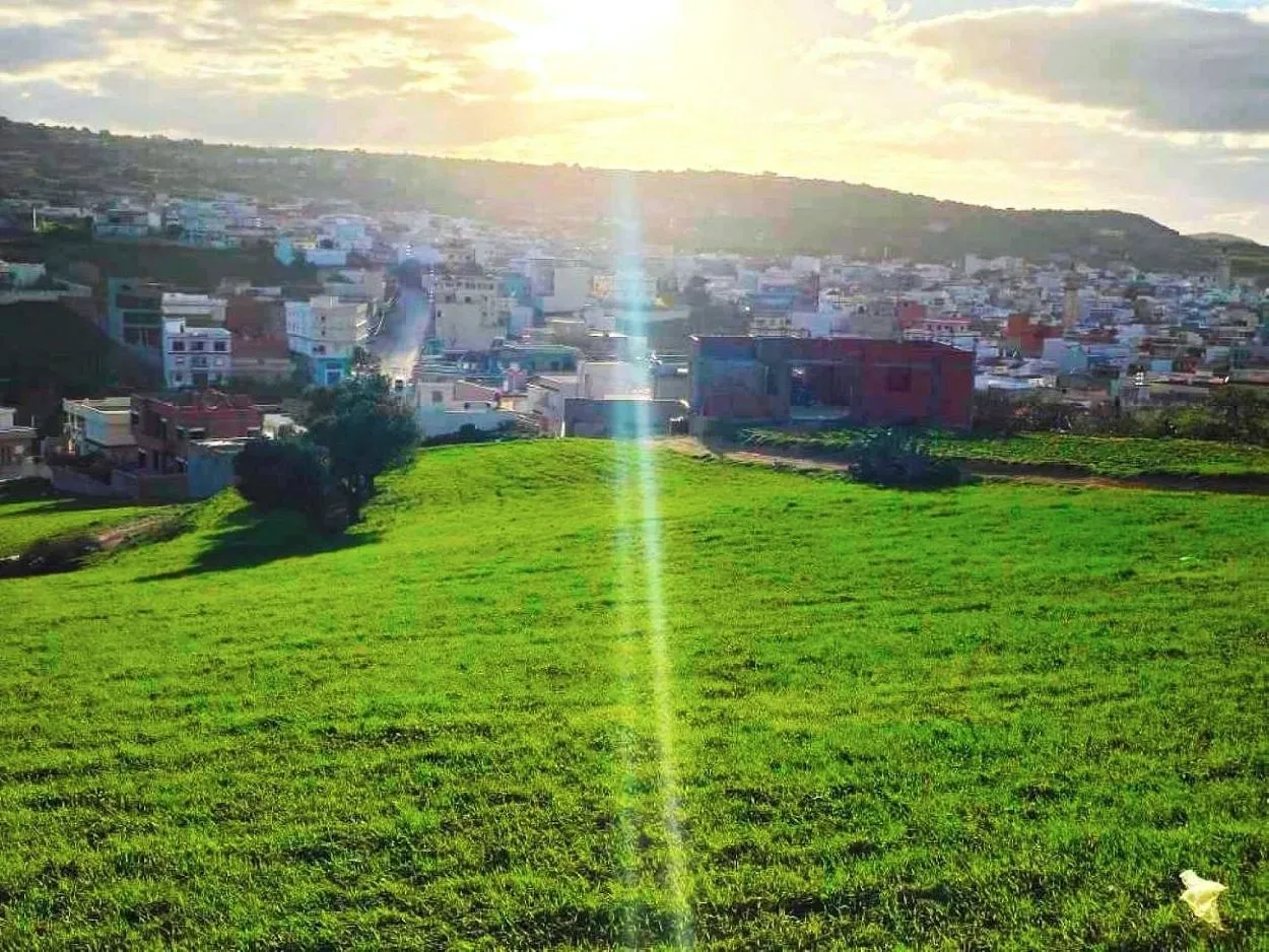 🌳 Terrain 800 m2 a Rafraf 🖼