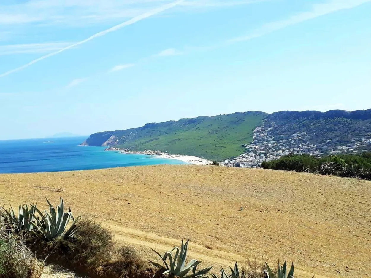 🌳 Terrain 800 m2 a Rafraf 🖼