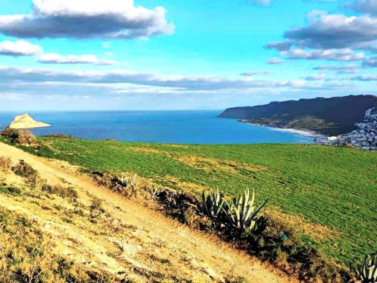 🌳 Terrain 800 m2 a Rafraf 🖼