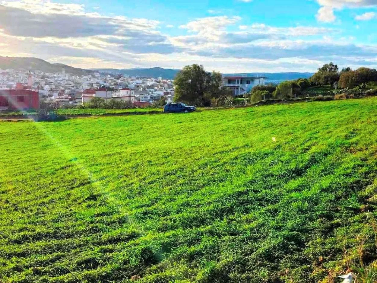 🌳 Terrain 800 m2 a Rafraf 🖼