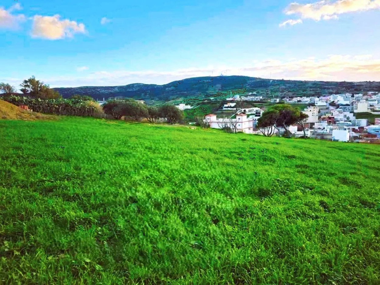 🌳 Terrain 800 m2 a Rafraf 🖼