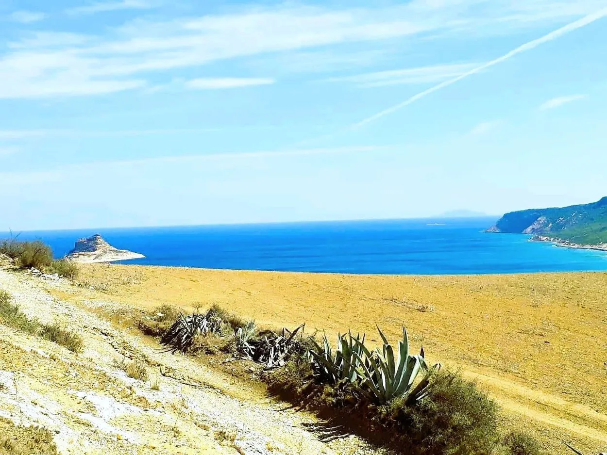 🌳 Terrain 800 m2 a Rafraf 🖼