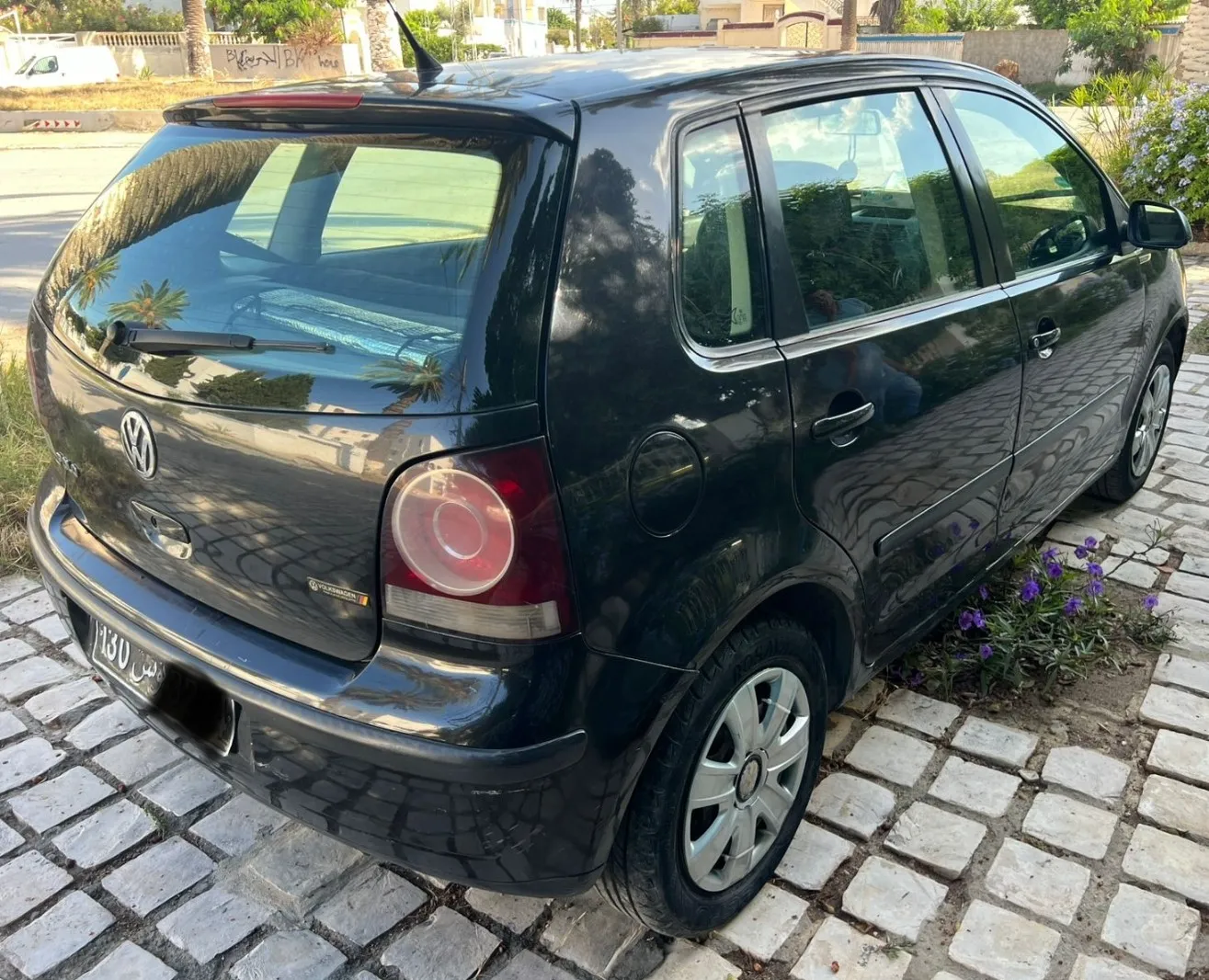 Polo 6