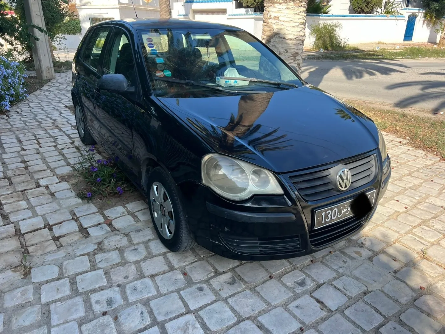 Polo 6