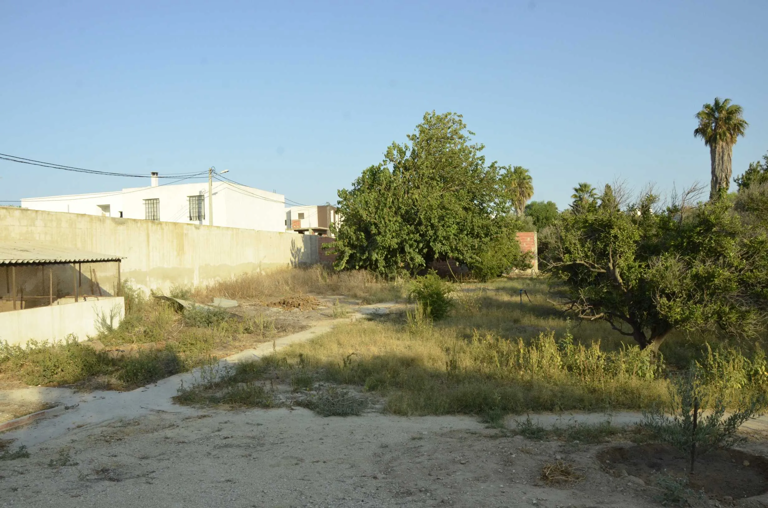 À Vendre Terrain résidentiel à La Soukra 500m2 