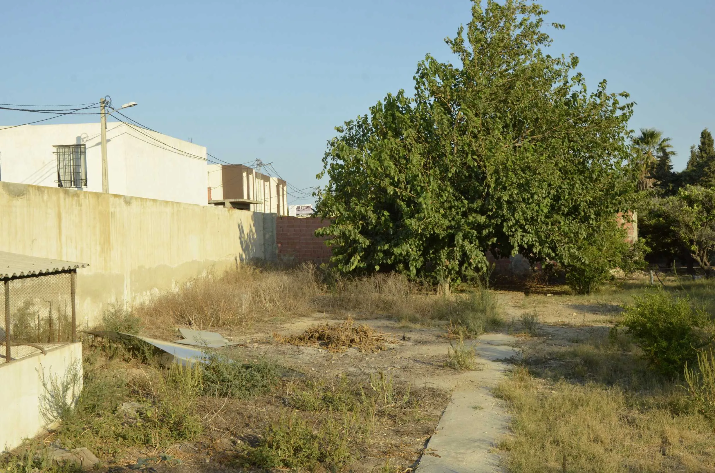 À Vendre Terrain résidentiel à La Soukra 500m2 