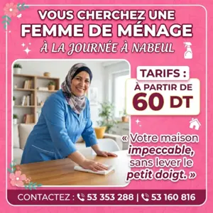 femme de menage par jour a ariana