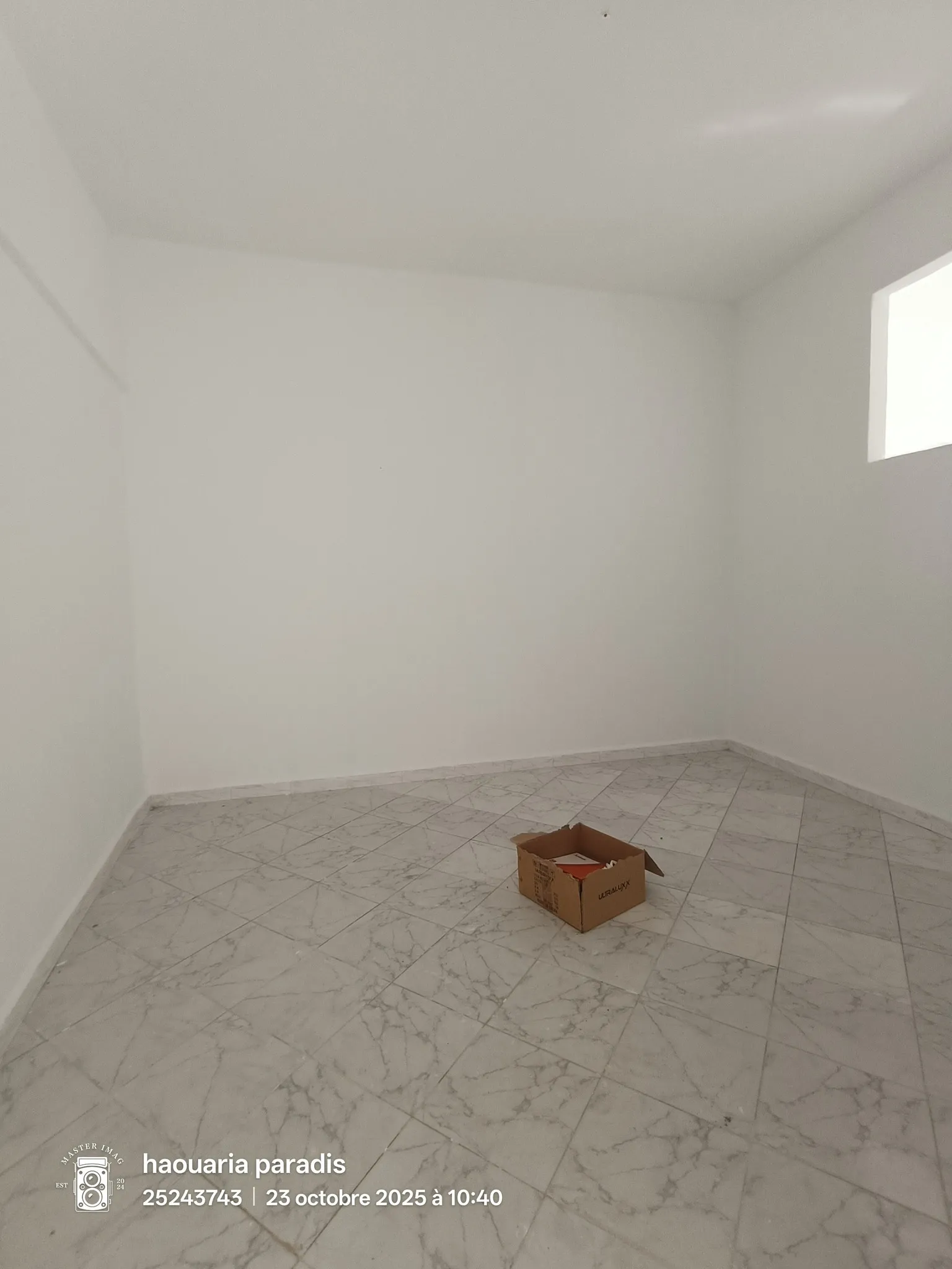 A vendre Deux maisons a elhaouaria centre ville