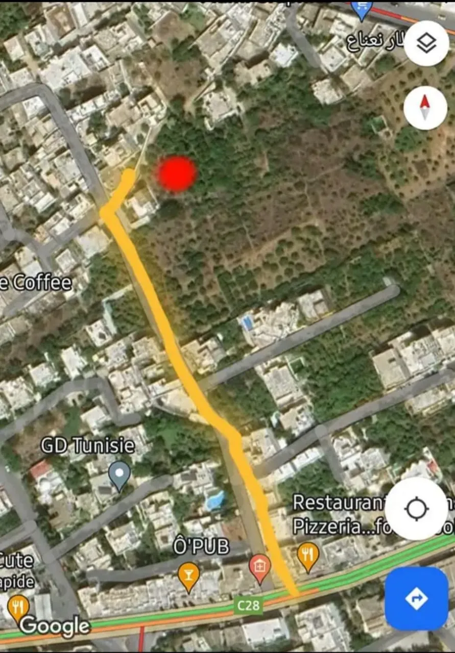 Offre exceptionnelle hammamet centre