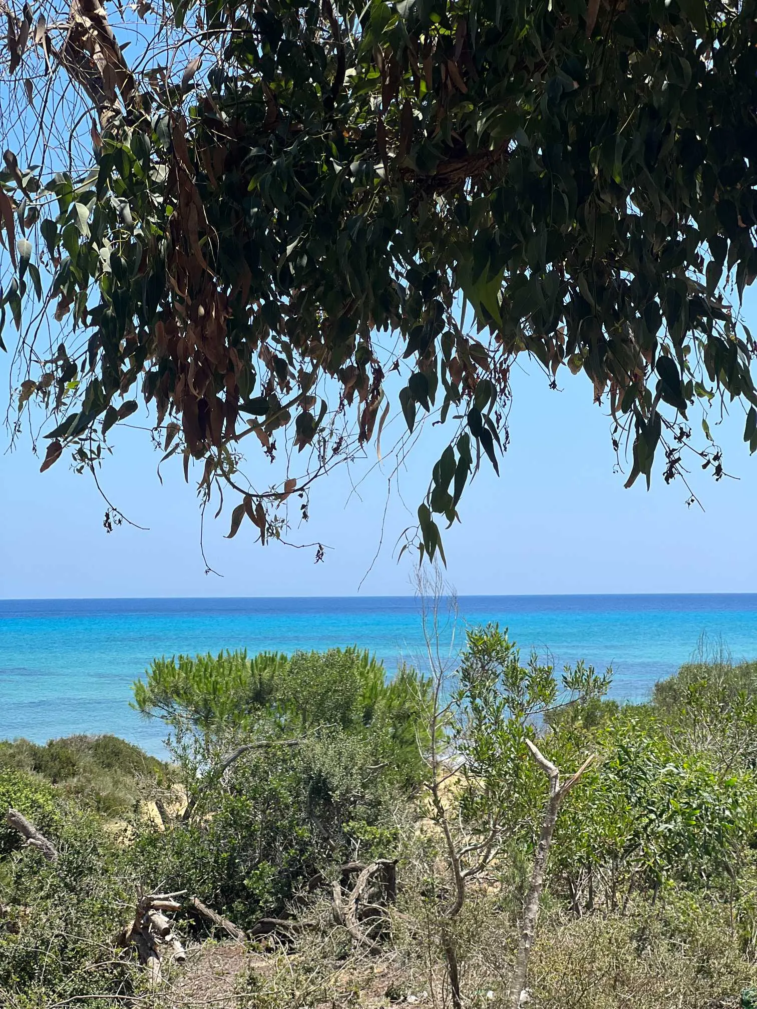 A partir de 1000 m² pour investir a ezzahra-hammam el ghezaz