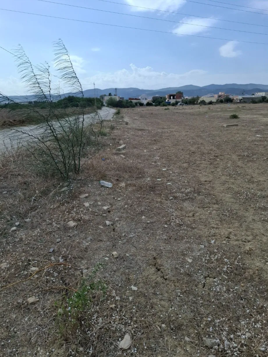Terrain agricole à vendre à Grombalia – El Fondok Jedid (près de Rainbow Horticulture Tunisia)