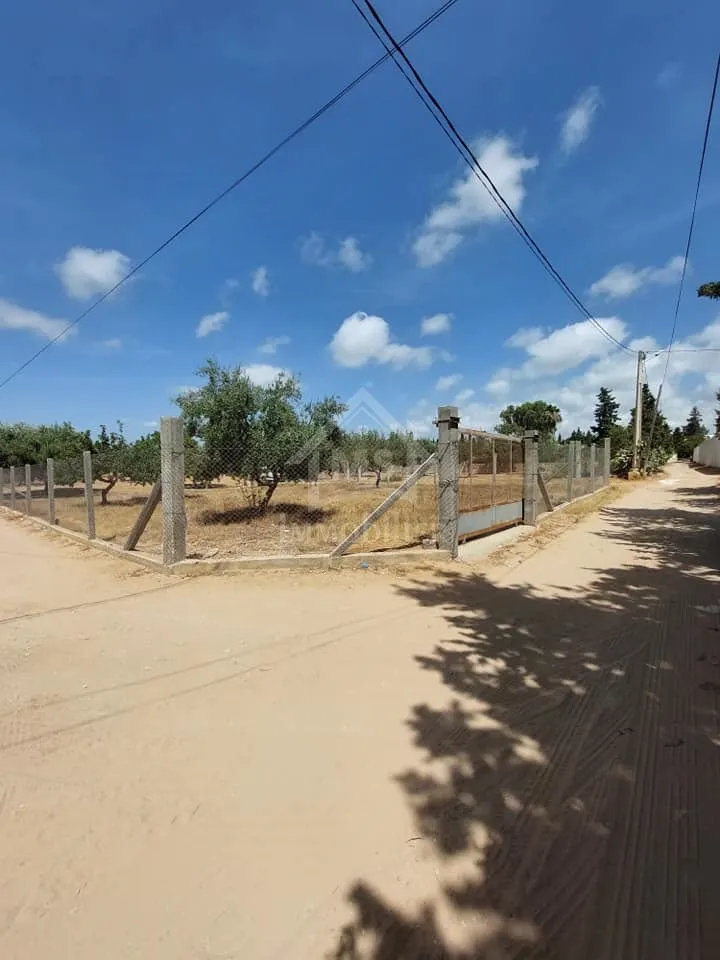 Terrain viabilisé de 600 m² à vendre à Hammamet 51355351