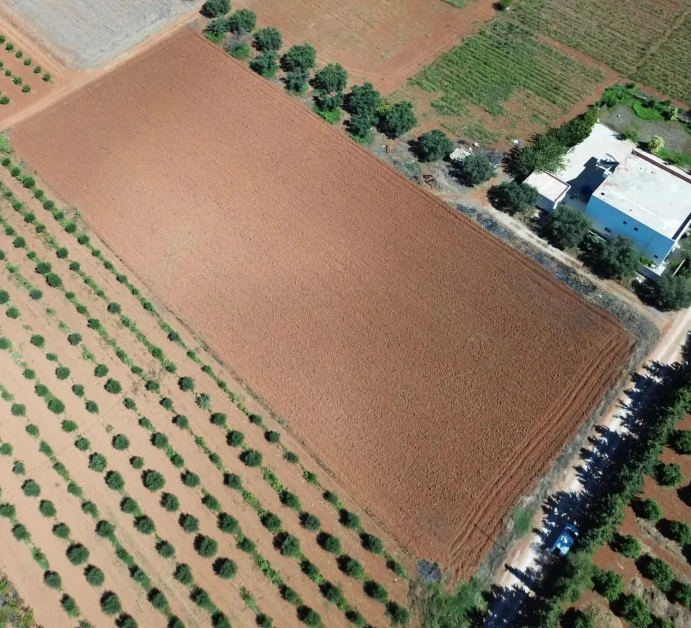 Terrain de 1000 m situés à sidi thabet