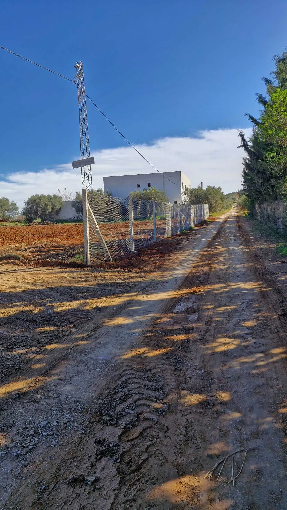 Terrain de 1000 m situés à sidi thabet