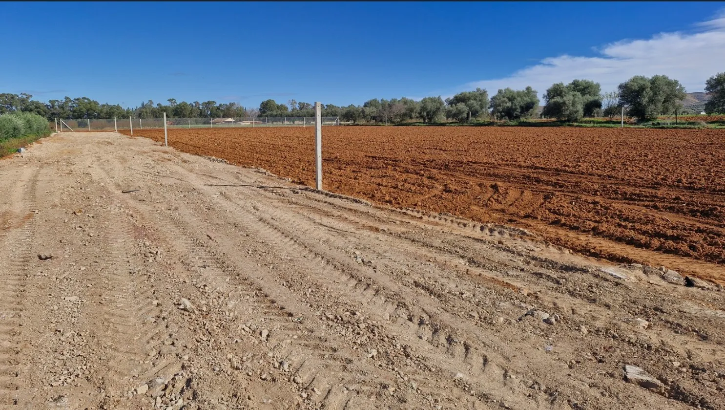 Terrain de 1000 m situés à sidi thabet