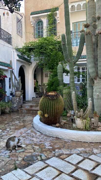Villa a vendre