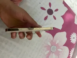 Iphone 12pro