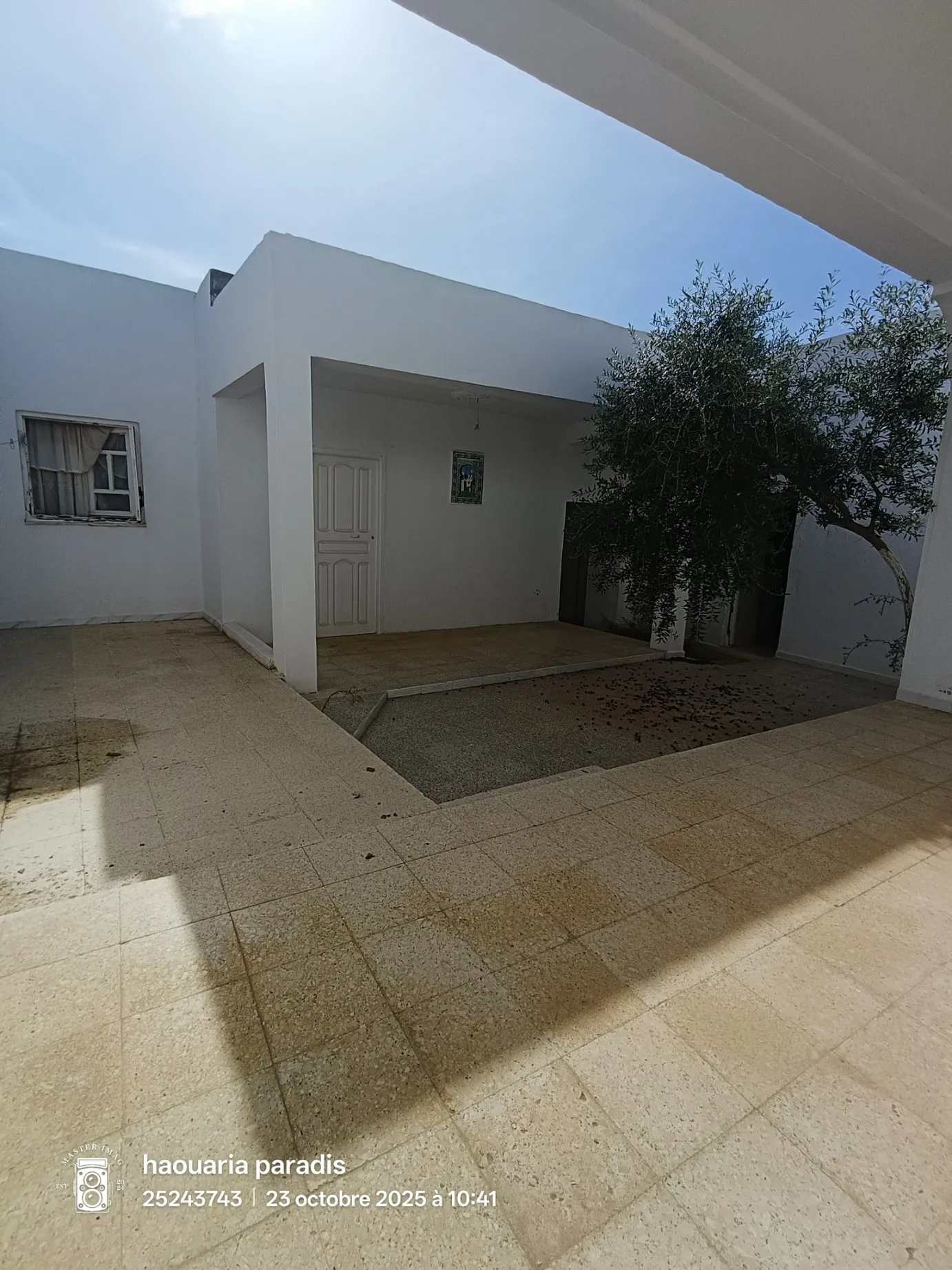 A vendre Deux maisons a elhaouaria centre ville Surface