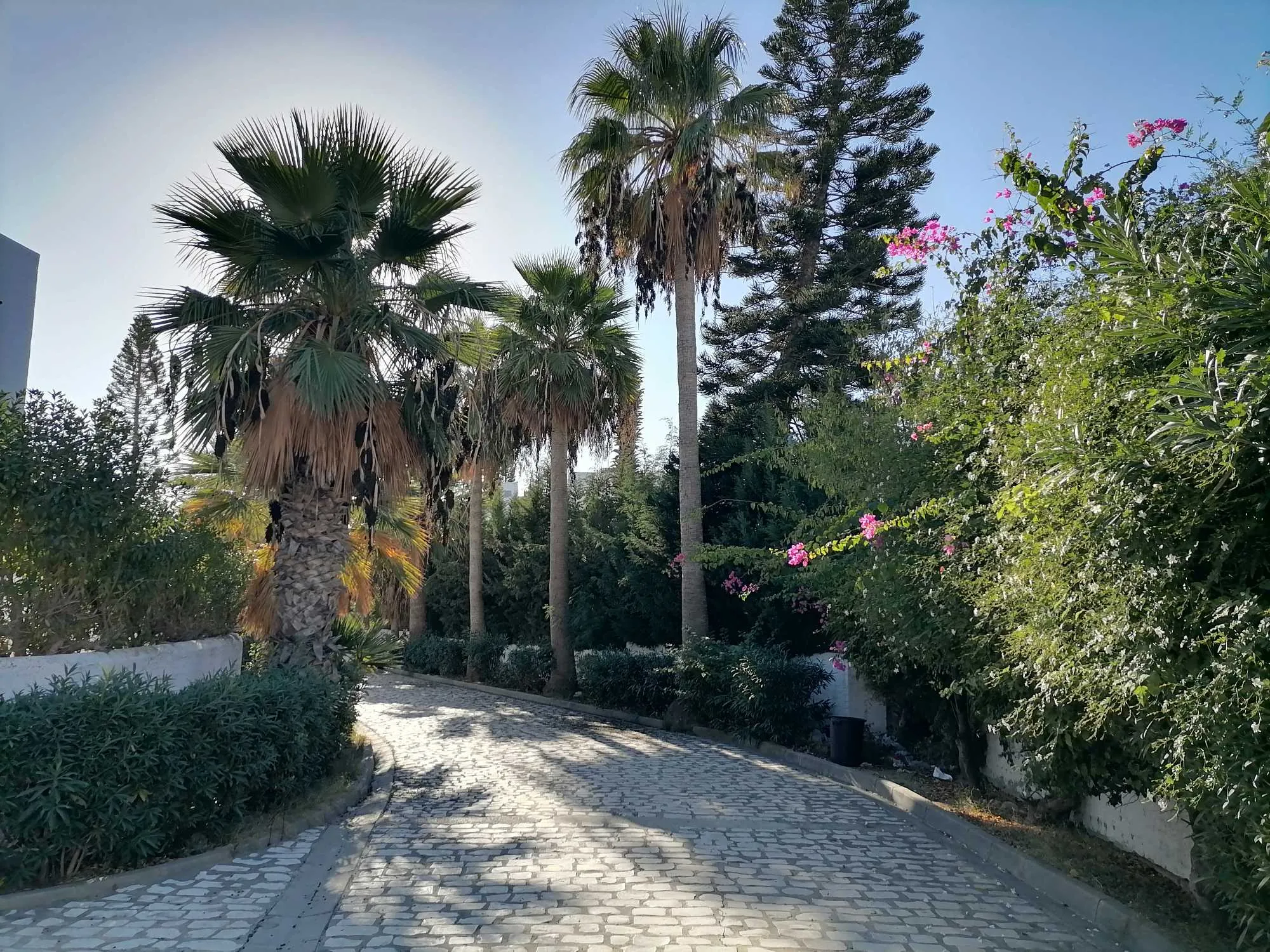 Duplex à Hammamet Nord