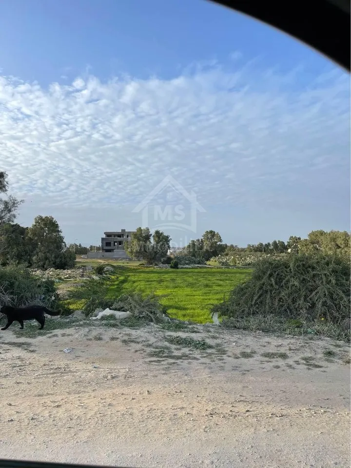 2 lots de terrain vue de mer à vendre à Jinen Béni Khiar 51355351