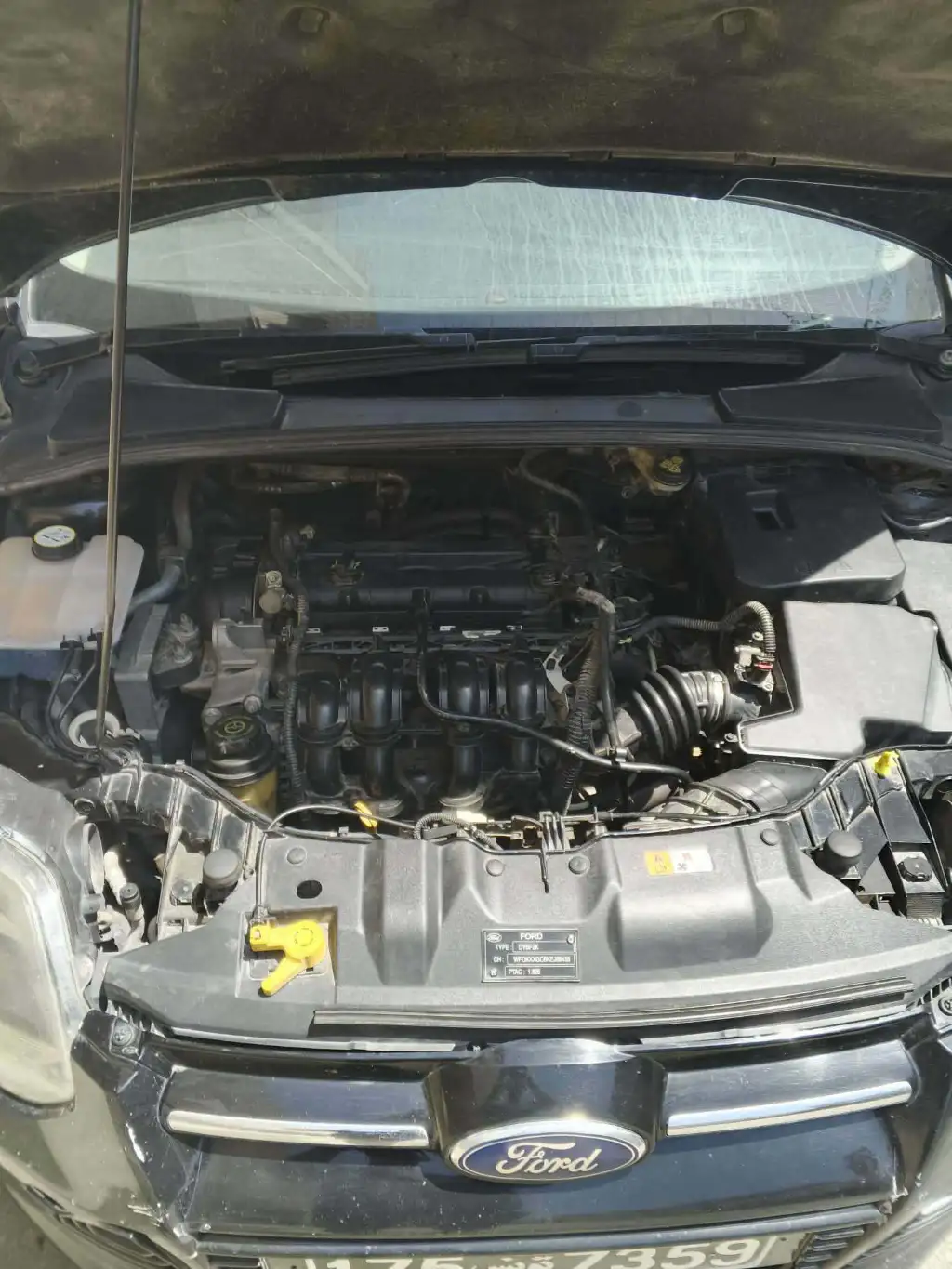 Ford focus 2014