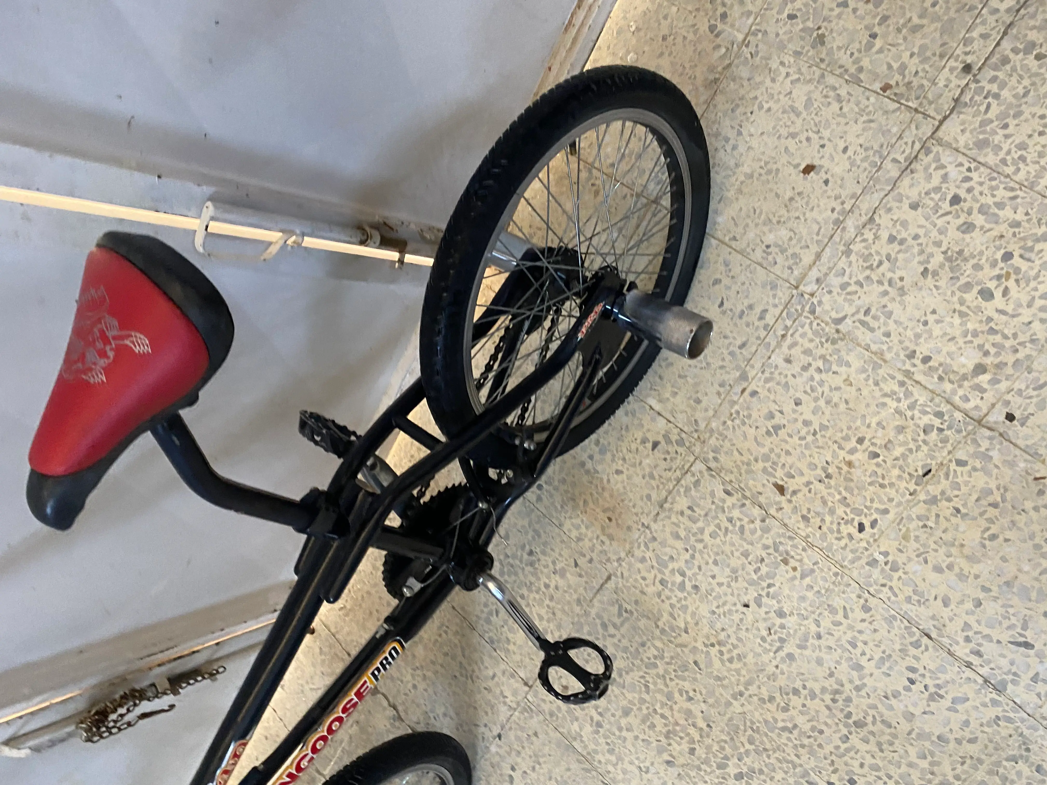 BMX importer