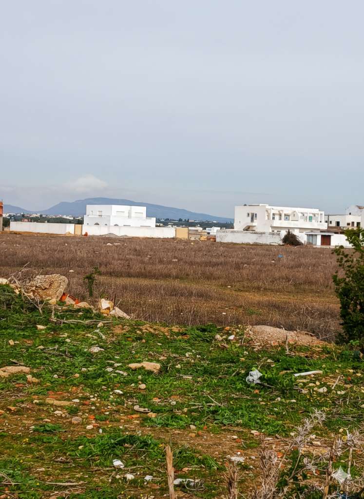 للبيـــــــــــع 