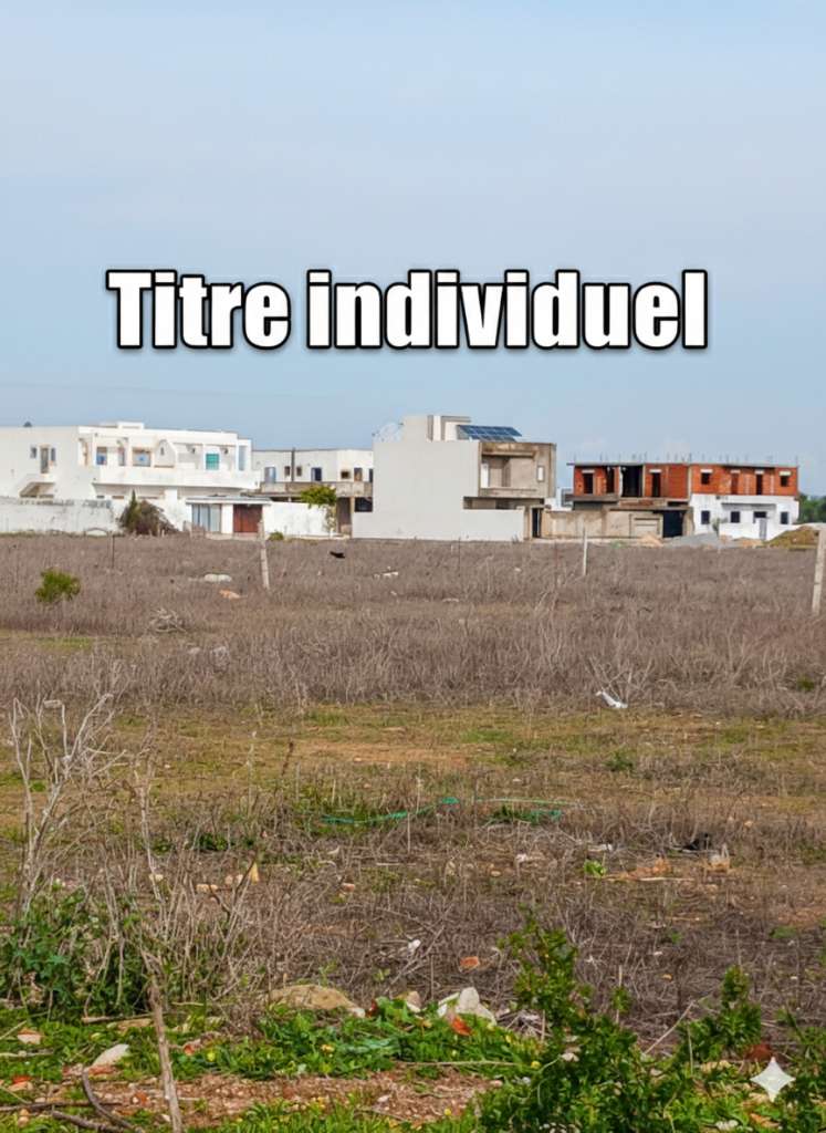 للبيـــــــــــع 