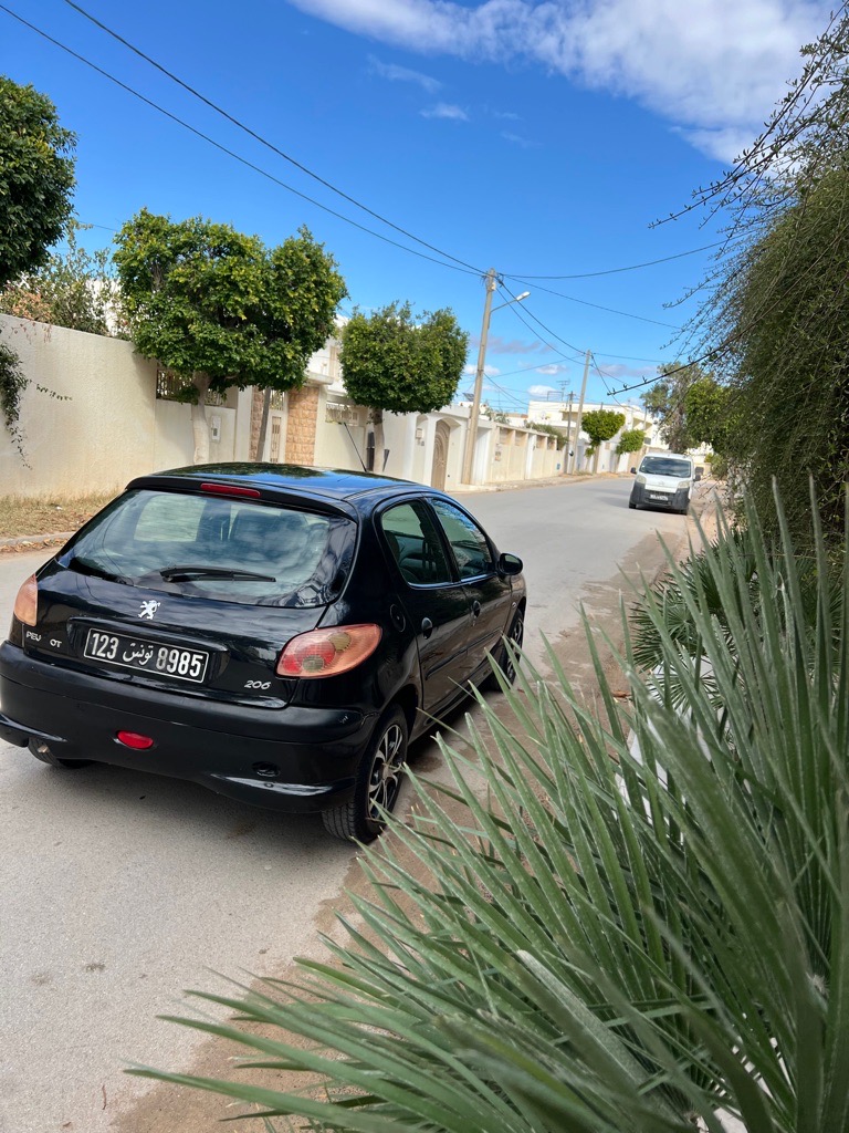 Peugeot 206