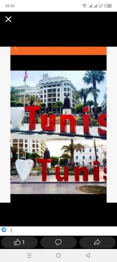 شقق مفروش آخر طراز في تونس العاصمة شارع لحبيب برقيب او العوينة 100/ 120