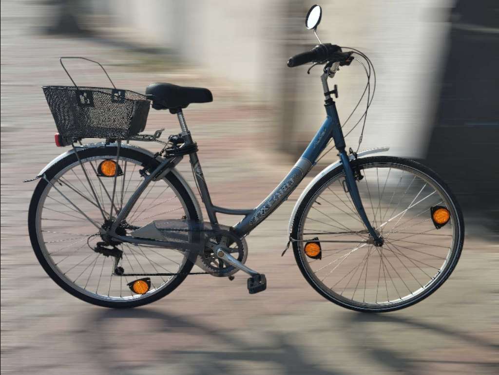 Vélo Oxford Alu 700"