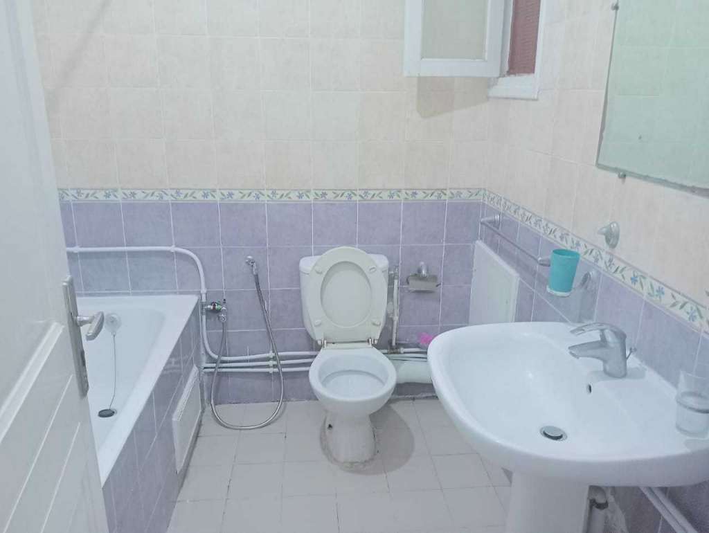 شقق مفروشة للايجار باليوم اسبوع في تونس العاصمة 100 د