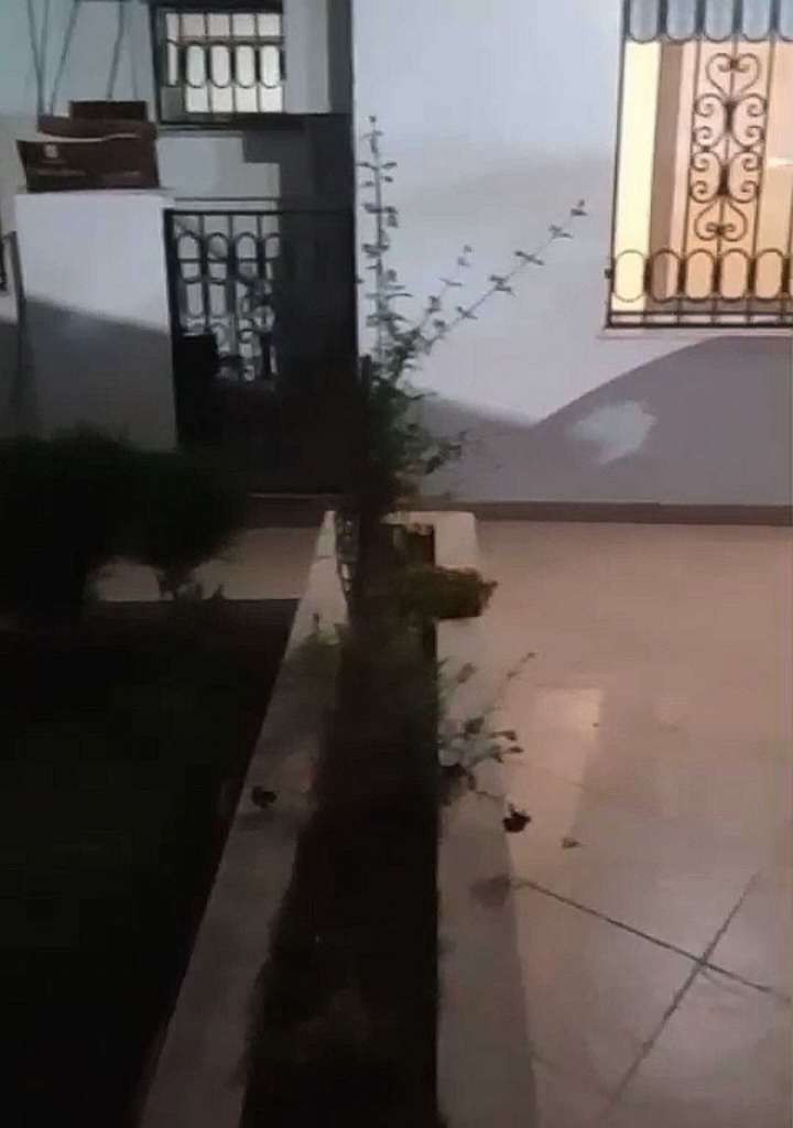 cité Ennasr Appt Ssm+2 Rdc