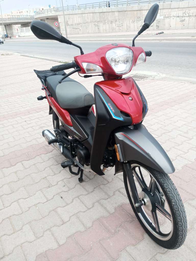 Zimota joy 110 cc