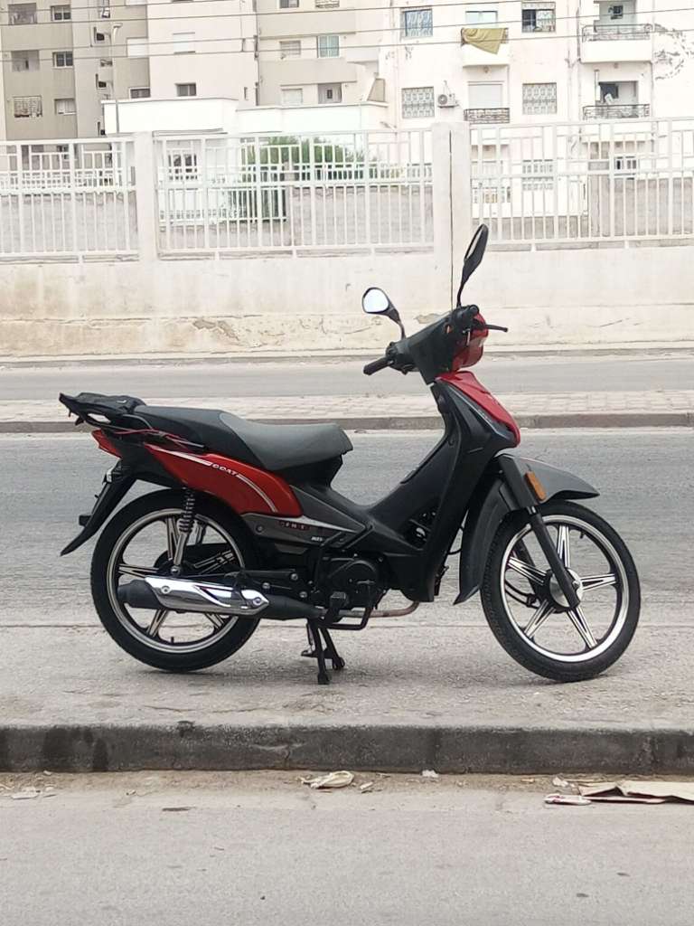 Zimota joy 110 cc