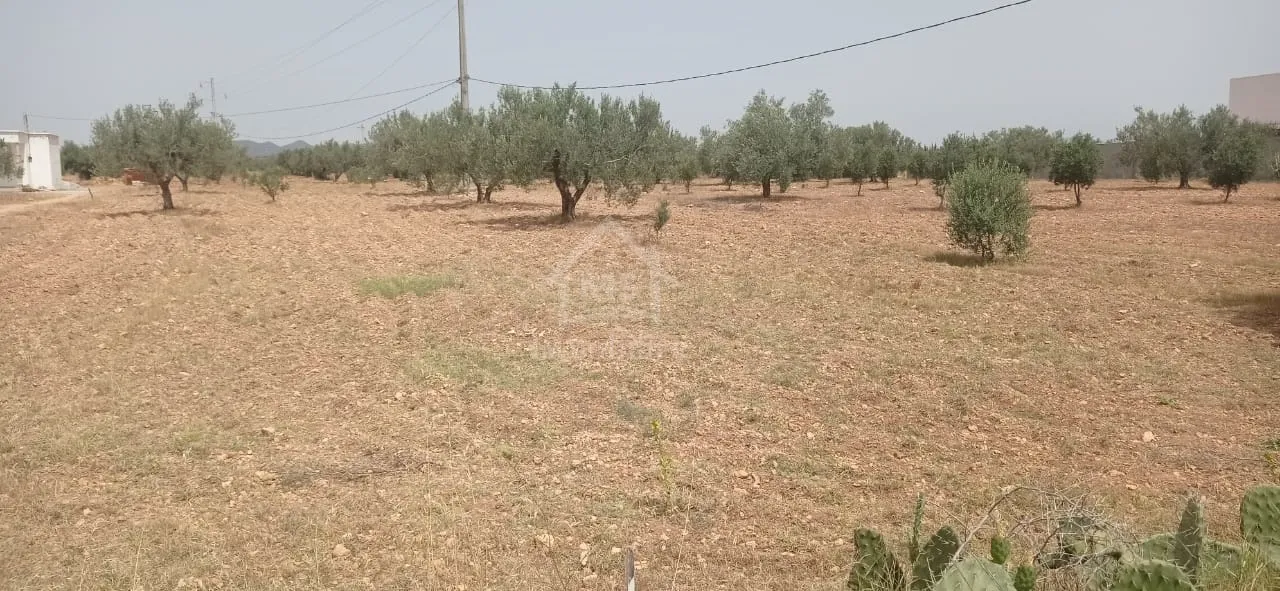 Terrain de 4800 m² à Sidi Mtir à vendre à 270 MD 51355351