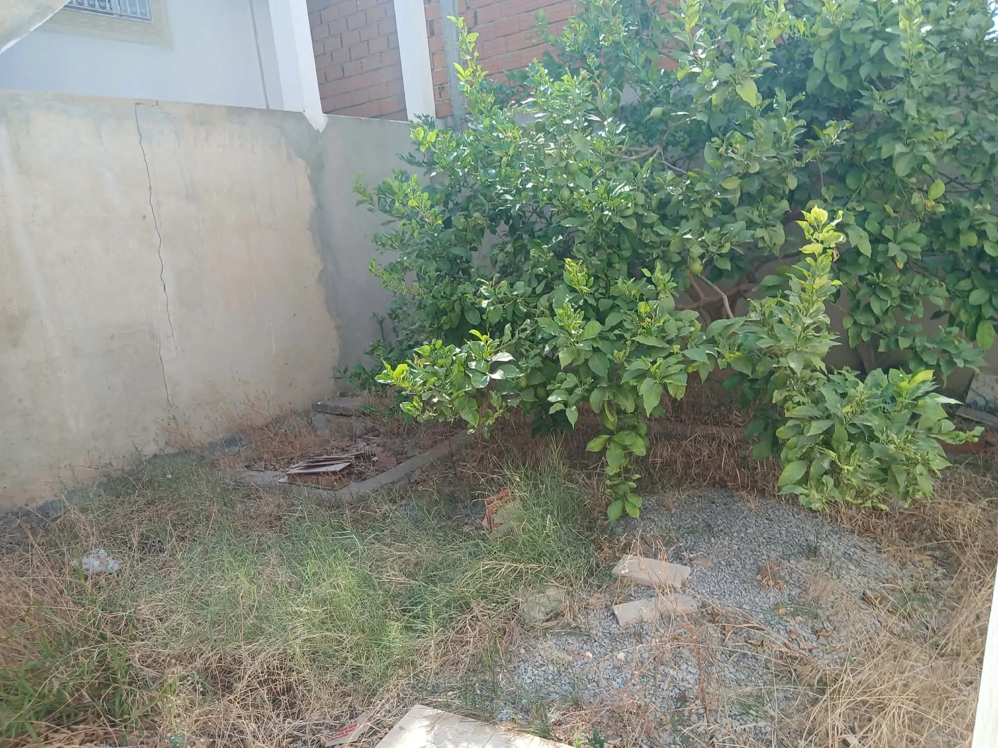 mrezgua hammamet nord