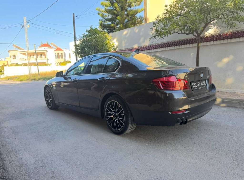Bmw F10. 520i