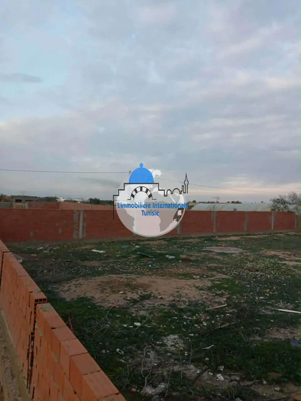 Terrain à vendre -à Kalâa sghira(Naqr)
