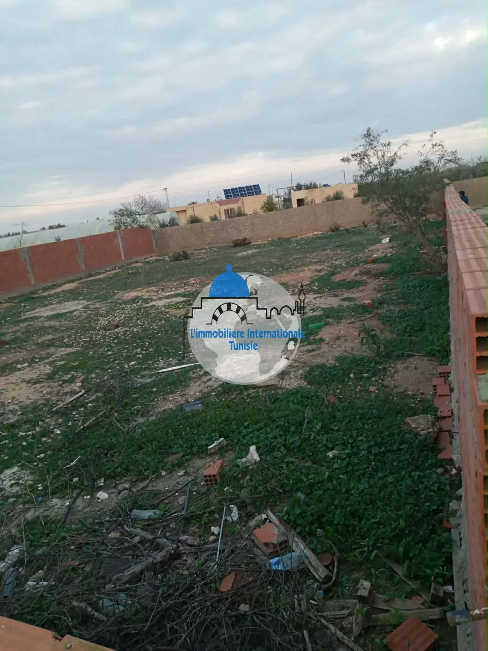 Terrain à vendre -à Kalâa sghira(Naqr)